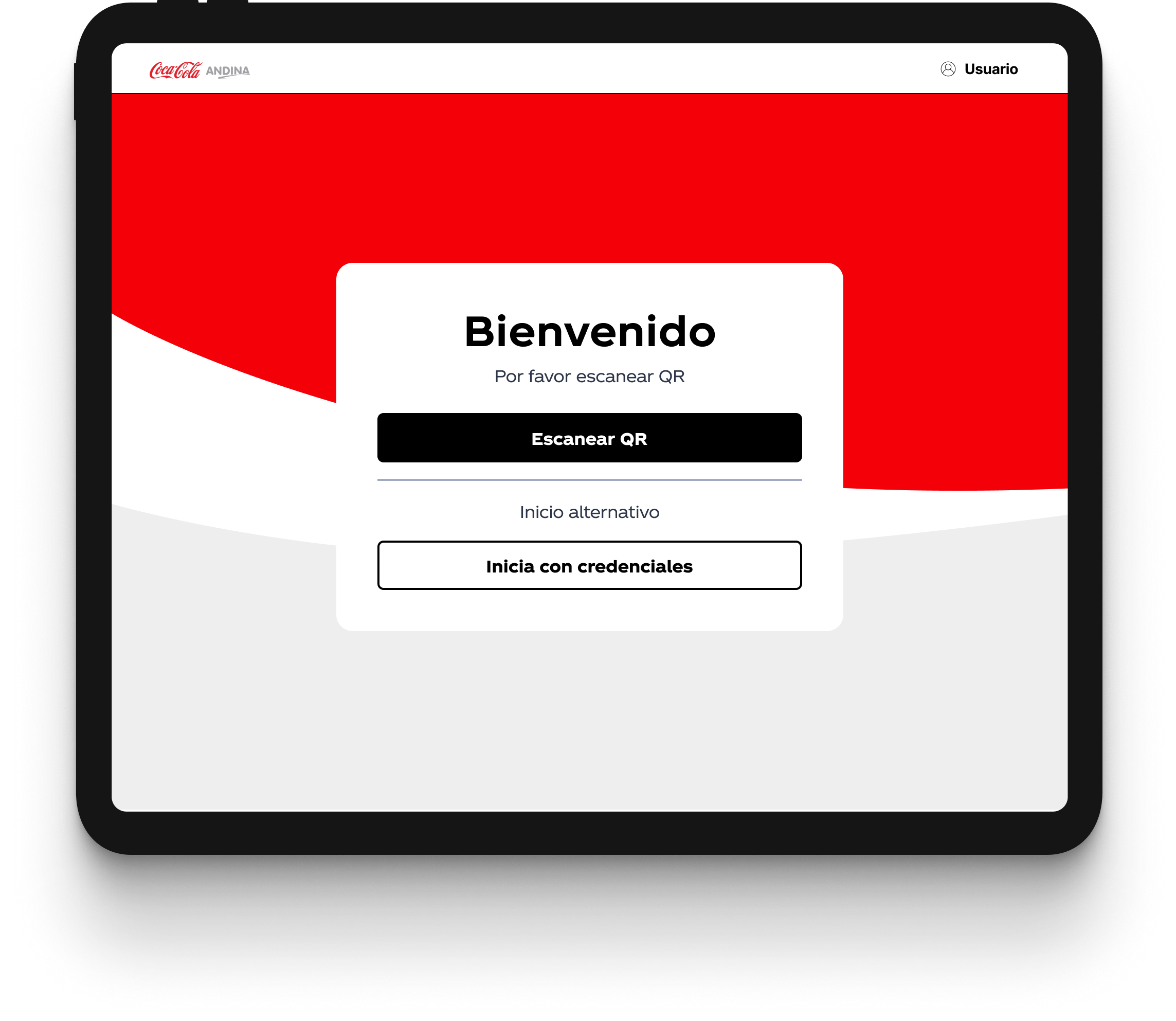 Proceso de trabajo